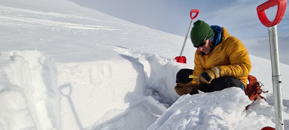 – Alle bør stille de dumme spørsmålene