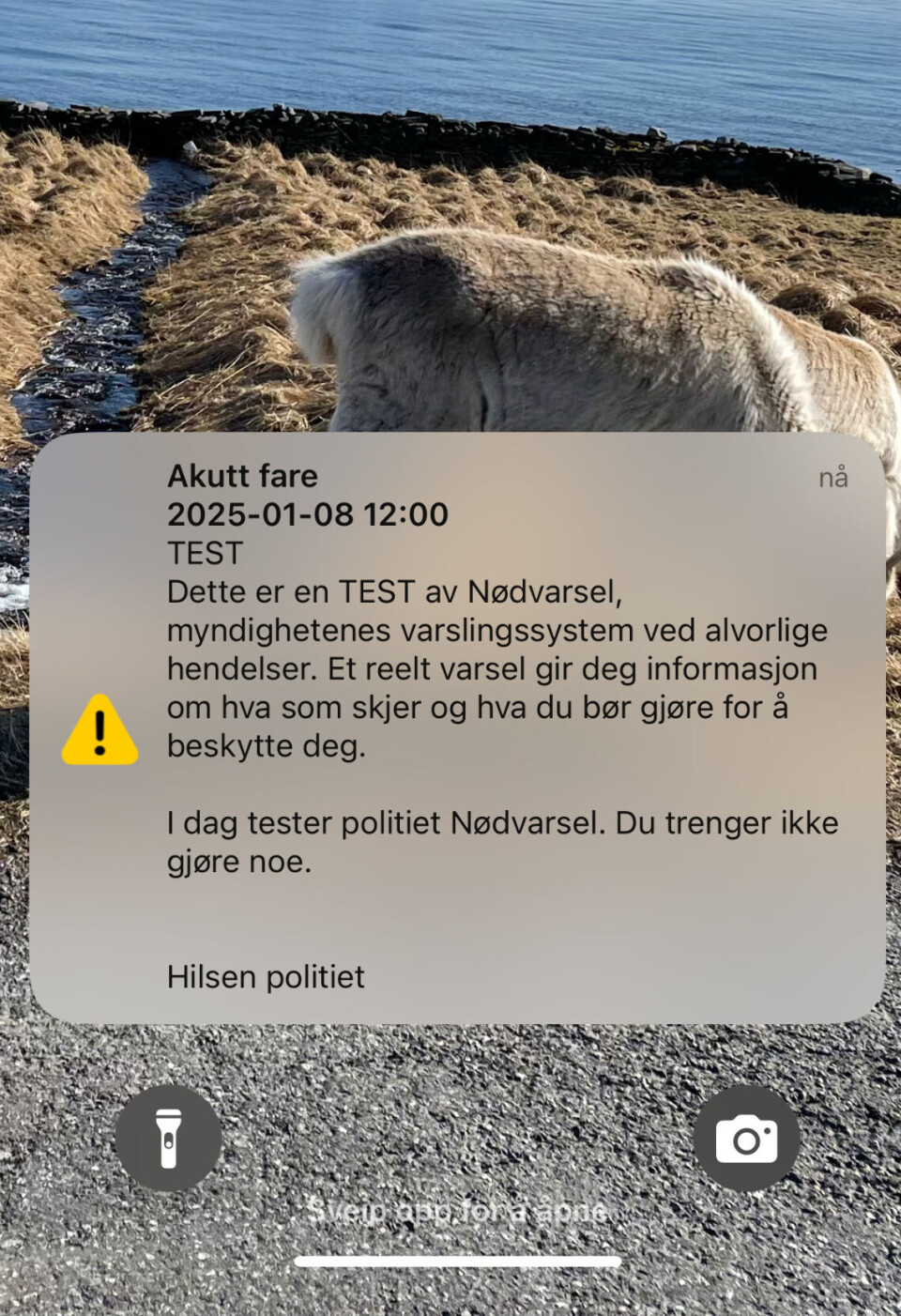 Onsdag klokka 12 begynte mobilen din å lage lyd og viste denne meldinga - hvis du har alt satt opp rett. Torsdag sender Longyearbyen lokalstyre ut en test. Den gjelder kun for Longyearbyens arealplanomårde.