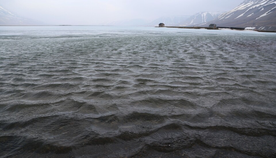 Isdammen er Longyearbyens viktigste drikkevannsreservoar. Men vannet som kommer herfra er tilsynelatende ikke til å stole på.