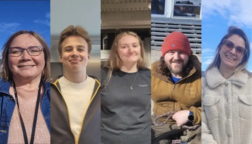 Fra venstre: Carina Abrahamsen, Vetle Sørflaten, Ingrid Walør Indal, Christoffer Spörck og Jill Blackstone.