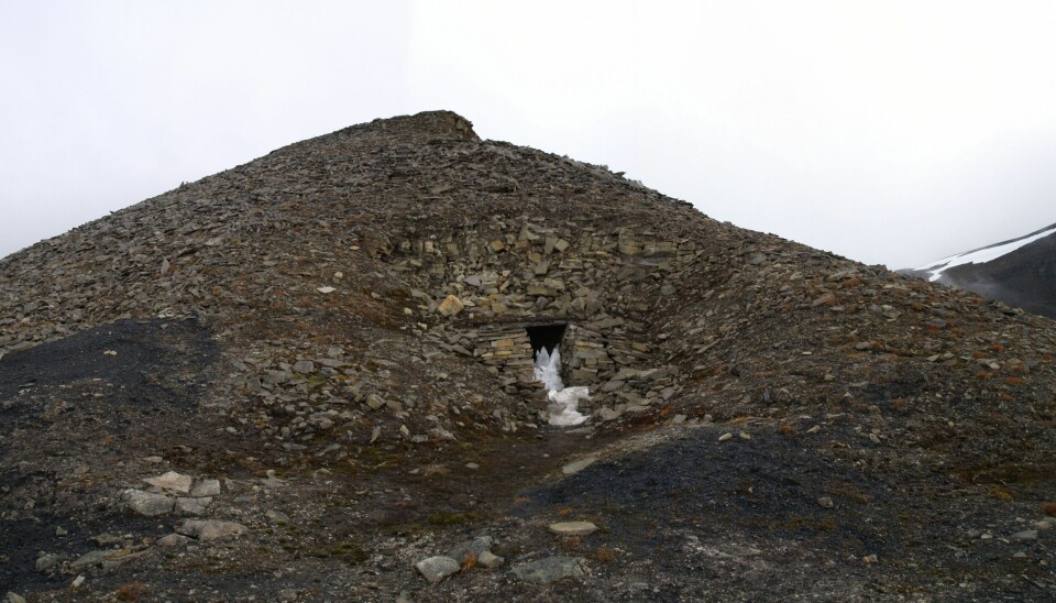 Trøndergruva ble anlagt i 1901 over Hotellneset, på Blomsterdalshøgda. Det samme året kom John Munro Longyear som turist til Isfjorden og så gruveinnslaget. Fem år senere, i 1906, ble gruva og selskapet solgt til Arctic Coal Company, hvor Longyear var hovedaksjonær.
