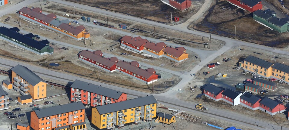 Person testet positivt for museparasitt