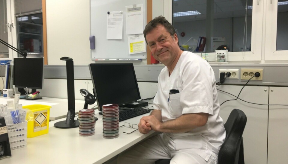 Man bør ikke bekymre seg for mye for revens dvergbendelorm, mener parasittolog Tore Lier ved UNN.