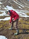 Under støvelen til Professor Stephen J. Coulson er potensialet stort for å finne flere tusen små, usynlige dyr som tilfeldigvis har tilholdssted her på Svalbard.